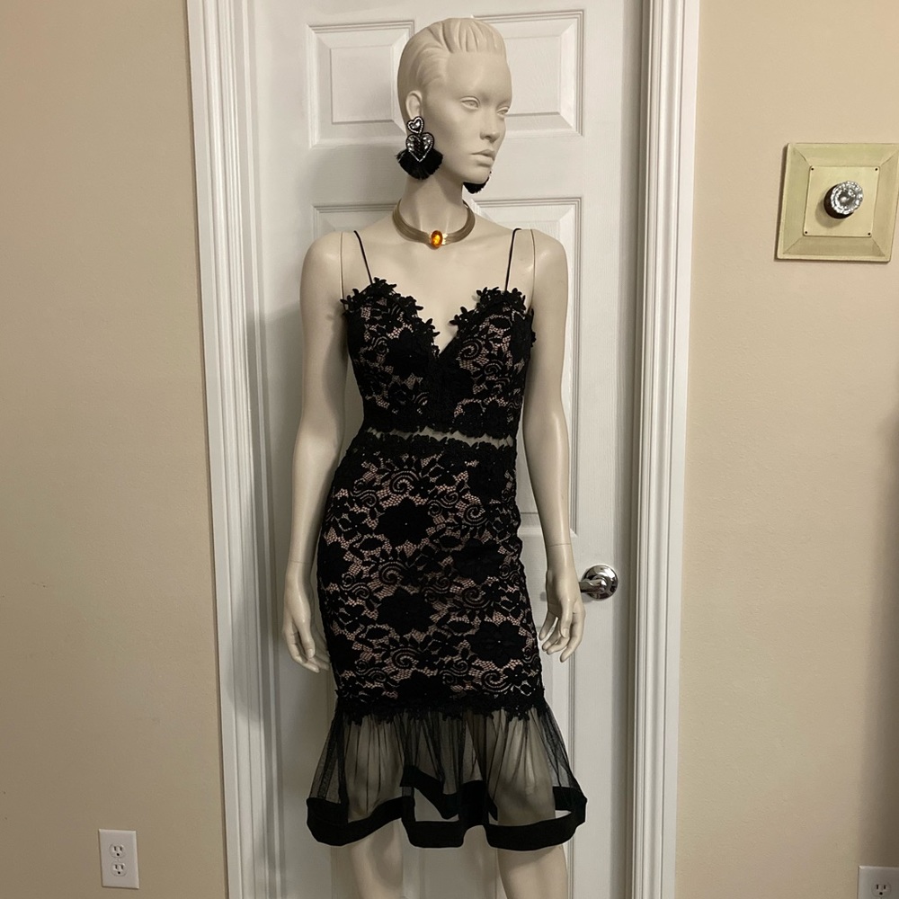 Olive Tree - image 1